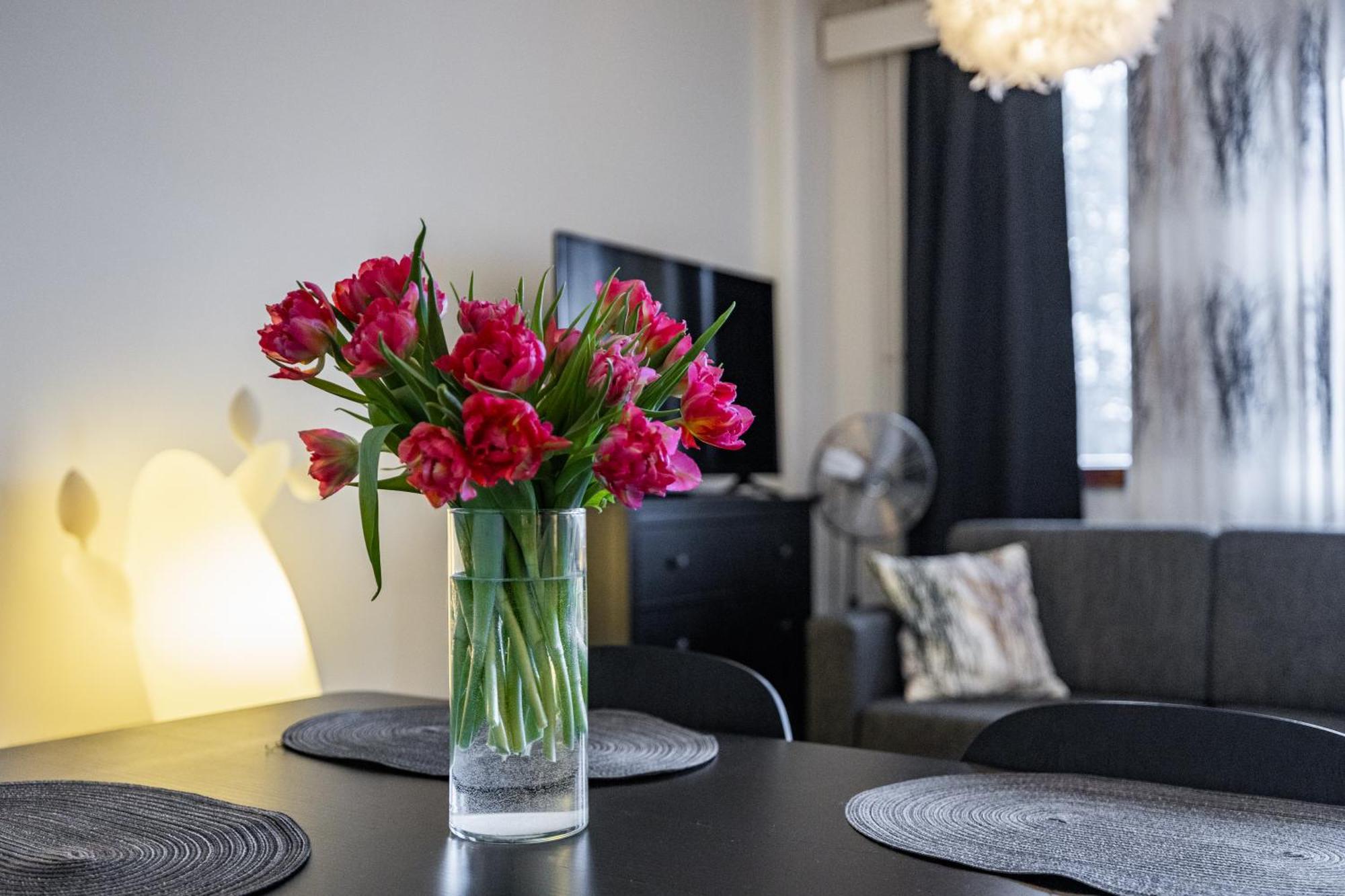 Sampo Studios Rovaniemi Ngoại thất bức ảnh